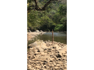 Finca en Venta / Chame para Ganadería o Desarrollo