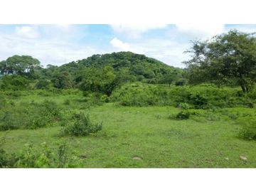 Finca en Venta / Chame para Ganadería o Desarrollo