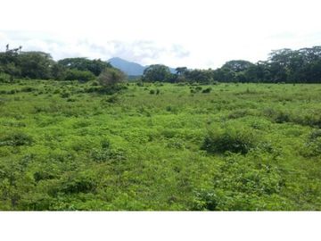 Finca en Venta / Chame para Ganadería o Desarrollo