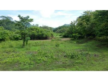Finca en Venta / Chame para Ganadería o Desarrollo