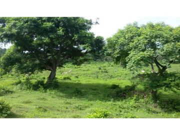 Finca en Venta / Chame para Ganadería o Desarrollo