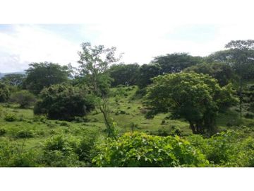 Finca en Venta / Chame para Ganadería o Desarrollo