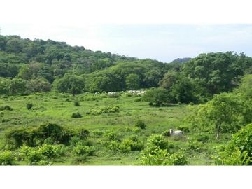 Finca en Venta / Chame para Ganadería o Desarrollo