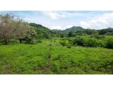 Finca en Venta / Chame para Ganadería o Desarrollo