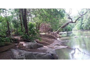 Finca en Venta / Chame para Ganadería o Desarrollo