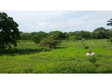 Finca en Venta / Chame para Ganadería o Desarrollo