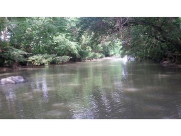 Finca en Venta / Chame para Ganadería o Desarrollo