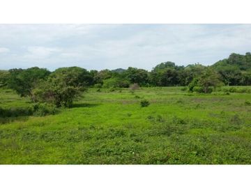 Finca en Venta / Chame para Ganadería o Desarrollo