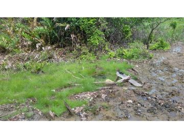 Finca en Venta / Chame para Ganadería o Desarrollo