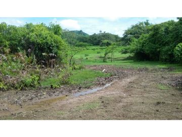 Finca en Venta / Chame para Ganadería o Desarrollo