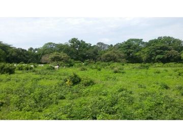 Finca en Venta / Chame para Ganadería o Desarrollo