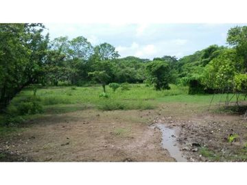 Finca en Venta / Chame para Ganadería o Desarrollo