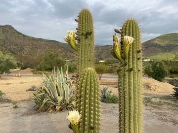 Sitio en venta en Las Brisas Colina