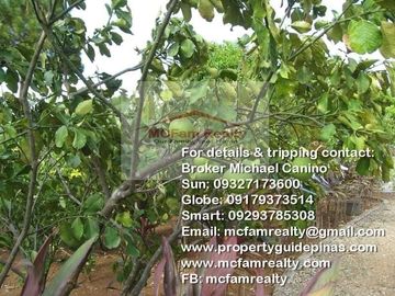 Manila East Lakeview Farm Lot for Sale in Morong Rizal Near Metro Manila