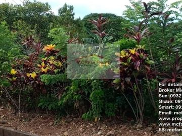 Manila East Lakeview Farm Lot for Sale in Morong Rizal Near Metro Manila