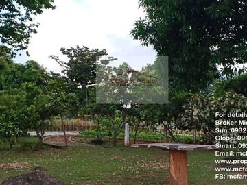 Manila East Lakeview Farm Lot for Sale in Morong Rizal Near Metro Manila