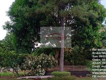 Manila East Lakeview Farm Lot for Sale in Morong Rizal Near Metro Manila