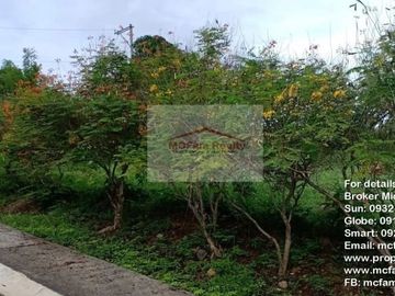 Manila East Lakeview Farm Lot for Sale in Morong Rizal Near Metro Manila