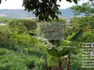 Manila East Lakeview Farm Lot for Sale in Morong Rizal Near Metro Manila