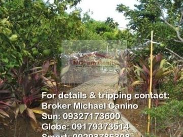 Manila East Lakeview Farm Lot for Sale in Morong Rizal Near Metro Manila