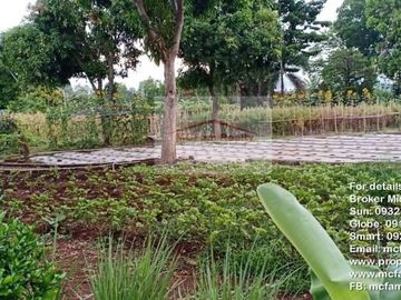 Manila East Lakeview Farm Lot for Sale in Morong Rizal Near Metro Manila