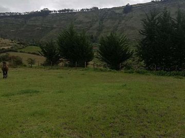 Venta o cambio terreno en la provincia del Carchi