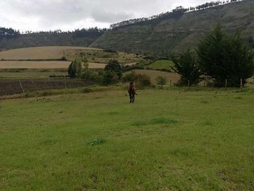 Venta o cambio terreno en la provincia del Carchi