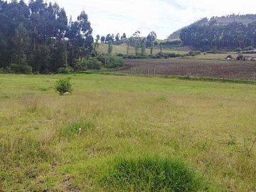 Venta o cambio terreno en la provincia del Carchi