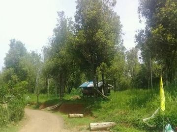 Dijual Tanah Perkebunan 1000 Hektar Di Waluran Kota Sukabumi