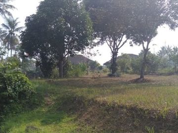 Dijual Tanah Perkebunan 1000 Hektar Di Waluran Kota Sukabumi