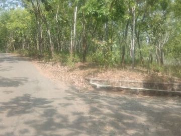 Dijual Tanah Perkebunan 1000 Hektar Di Waluran Kota Sukabumi