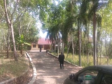 Dijual Tanah Perkebunan 1000 Hektar Di Waluran Kota Sukabumi