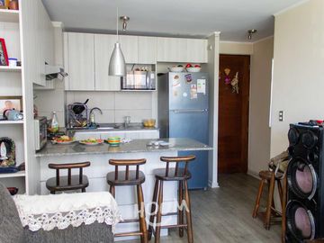 Departamento Anibal pinto oriente ID: 100603s