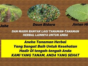 Kavling Herbal Super Murah Siap Bangun dekat Makassar Bonus Tanaman Herbal