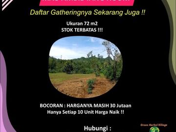 Kavling Herbal Super Murah Siap Bangun dekat Makassar Bonus Tanaman Herbal