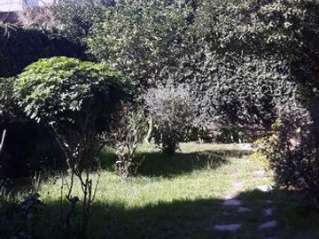 Departamento - Villa Pueyrredon