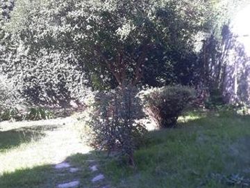 Departamento - Villa Pueyrredon