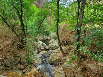 VENTA RANCHO AGUA NACIDA MINERAL DEL CHICO $61.8 el m2