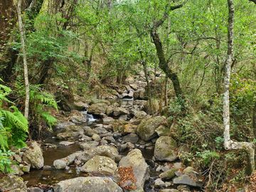 VENTA RANCHO AGUA NACIDA MINERAL DEL CHICO $61.8 el m2