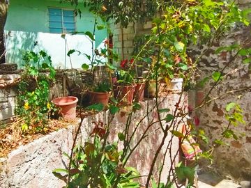 VENTA RANCHO AGUA NACIDA MINERAL DEL CHICO $61.8 el m2