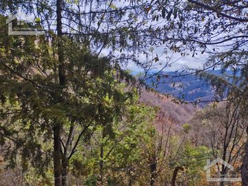 VENTA RANCHO AGUA NACIDA MINERAL DEL CHICO $61.8 el m2