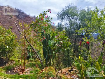 VENTA RANCHO AGUA NACIDA MINERAL DEL CHICO $61.8 el m2