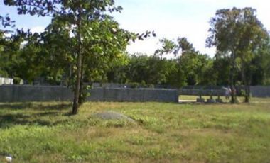 Beach Lot for Sale in Canaoay, San Fernando, La