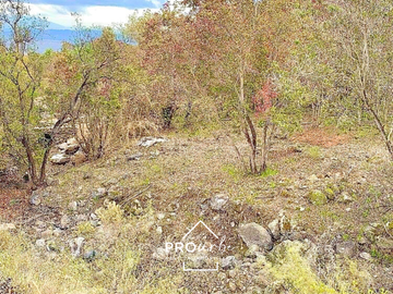 Venta parcela 5000m2 en Altos de Olmué urbanizada