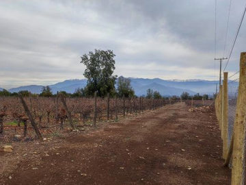 Parcela en Venta en 162.226 - Paine/Escorial
