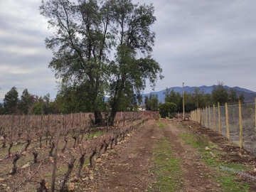 Parcela en Venta en 162.226 - Paine/Escorial