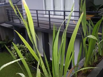 Rumah Mewah Di Sektor 9 Bintaro Jaya - GB 4416 BR