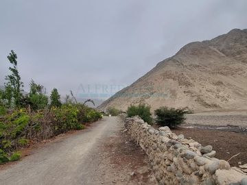 Terrenos Agricolas Venta  Pampas de Casaya, Margen derecho del rio de Cañete  - LUNAHUANA