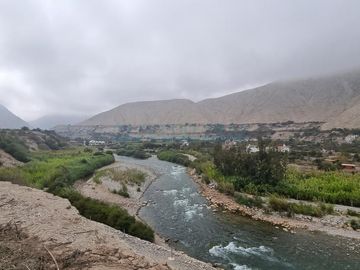 Terrenos Agricolas Venta  Pampas de Casaya, Margen derecho del rio de Cañete  - LUNAHUANA