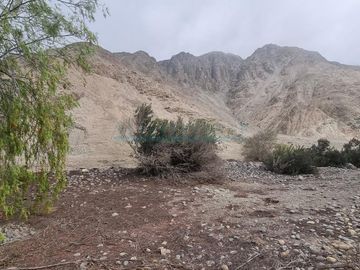 Terrenos Agricolas Venta  Pampas de Casaya, Margen derecho del rio de Cañete  - LUNAHUANA